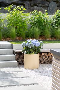 Pflanzkübel Blumentopf rund Aluminium NEW RONDO beige matt Pflanzkübel Blumentopf rund Aluminium NEW RONDO beige matt