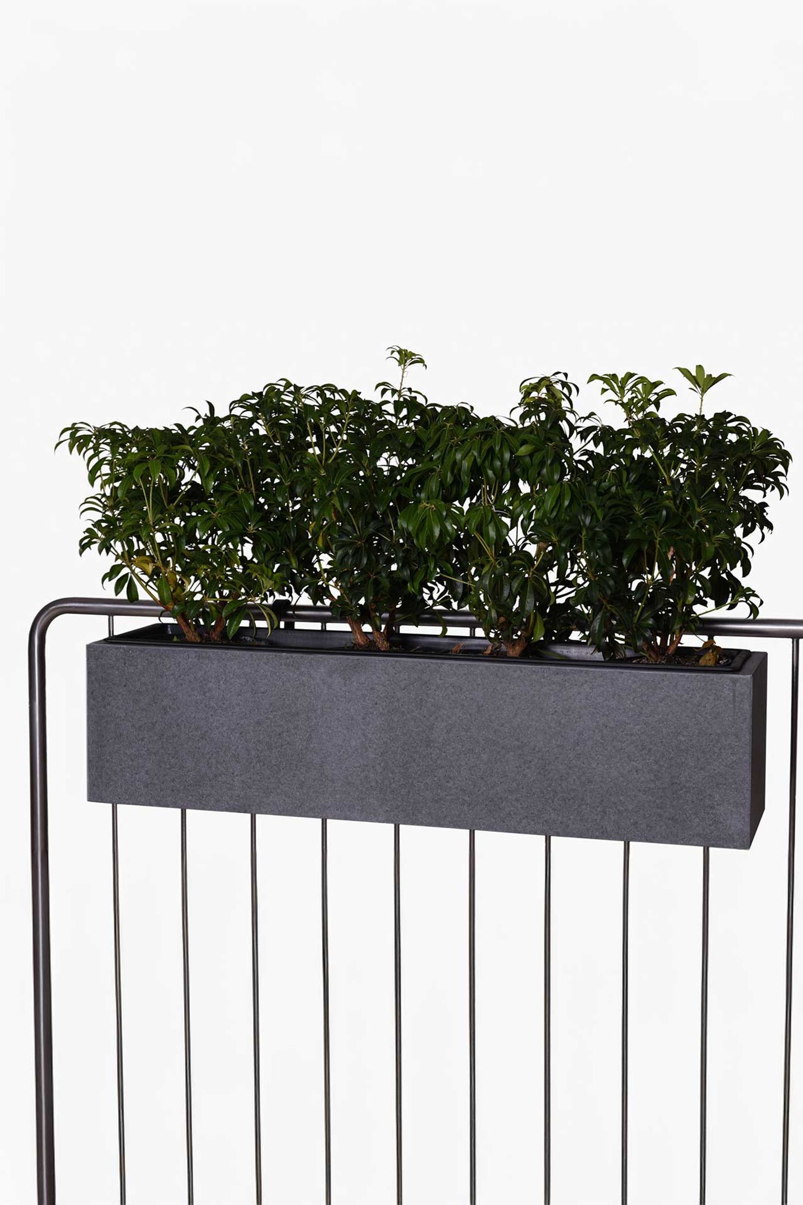 Balkonkasten Blumenkasten Fiberzement Milano "Benno", Grau