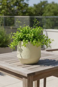 Blumentopf Pflanztopf Fiberglas NEXORA Vesuvcreme