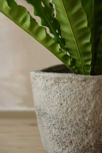 Pflanzkübel Blumentopf Fiberzement LONDA Erdgrau