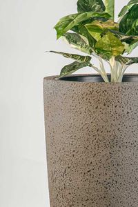 Pflanzkübel Blumenkübel Fiberglas CITY creme rough