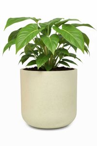 Blumentopf Pflanztopf Fiberglas CHICO Vesuvcreme