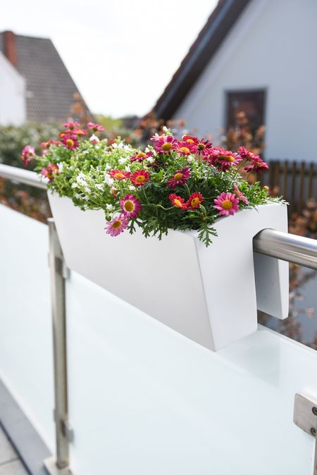 Blumenkasten + Balkonkasten online kaufen