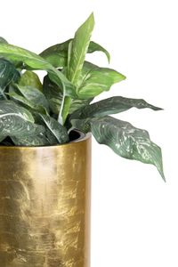 Pflanzgefäß Bodenvase SOLERIO Fiberglas Gold Hochglanz Pflanzgefäß Bodenvase SOLERIO Fiberglas Gold Hochglanz