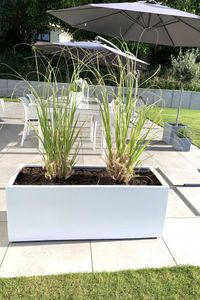 Pflanzkübel Pflanztrog Fiberglas "Maxi", Weiß Matt