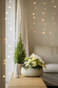 Pflanzschale Dekoschale PERA rund Fiberglas Creme