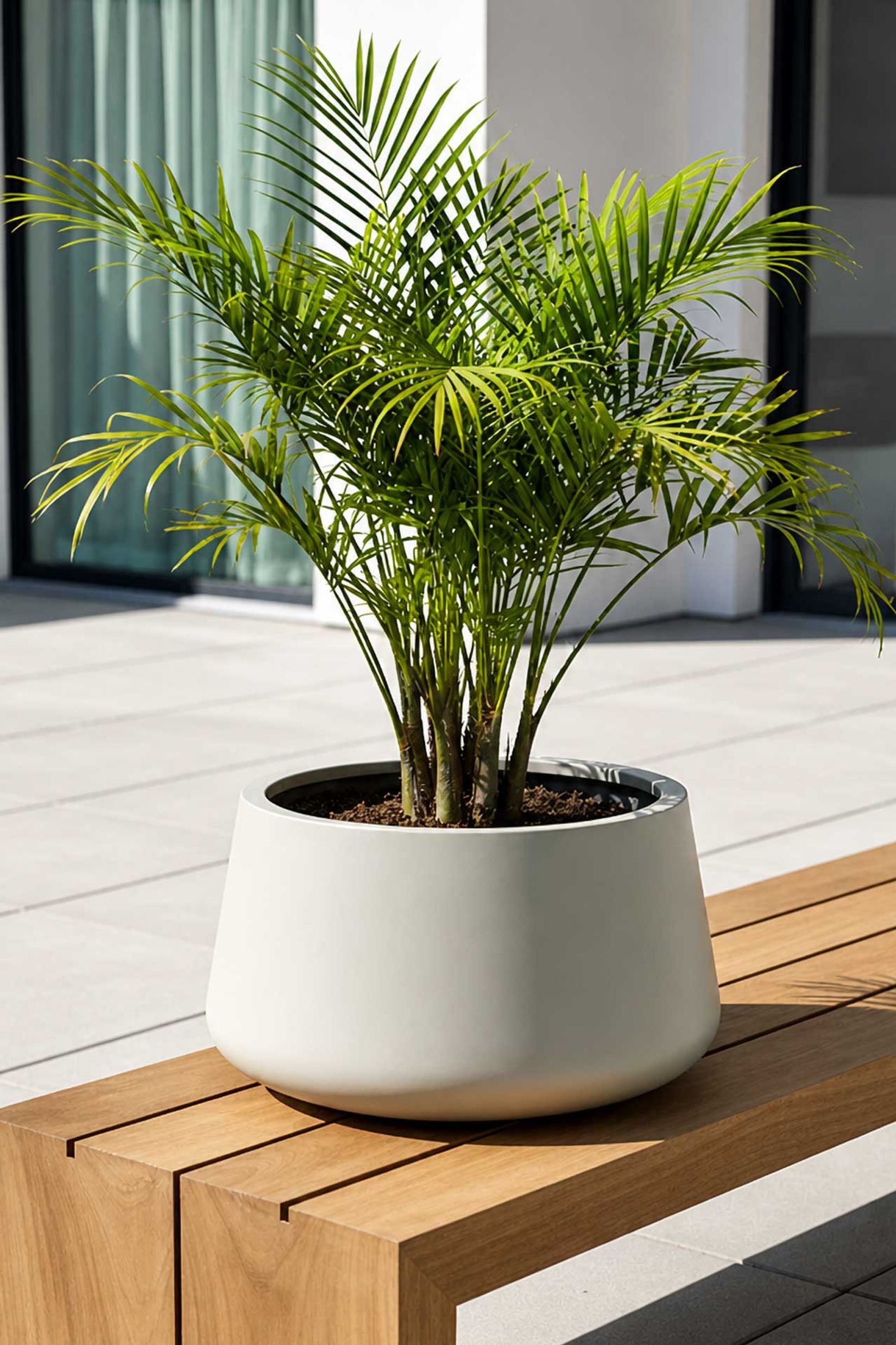Pflanzkbel FIberglas Gordo Rund Creme | VIVANNO | VIVANNO