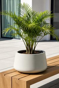 Pflanztopf GORDO Fiberglas 32x21 cm Beige