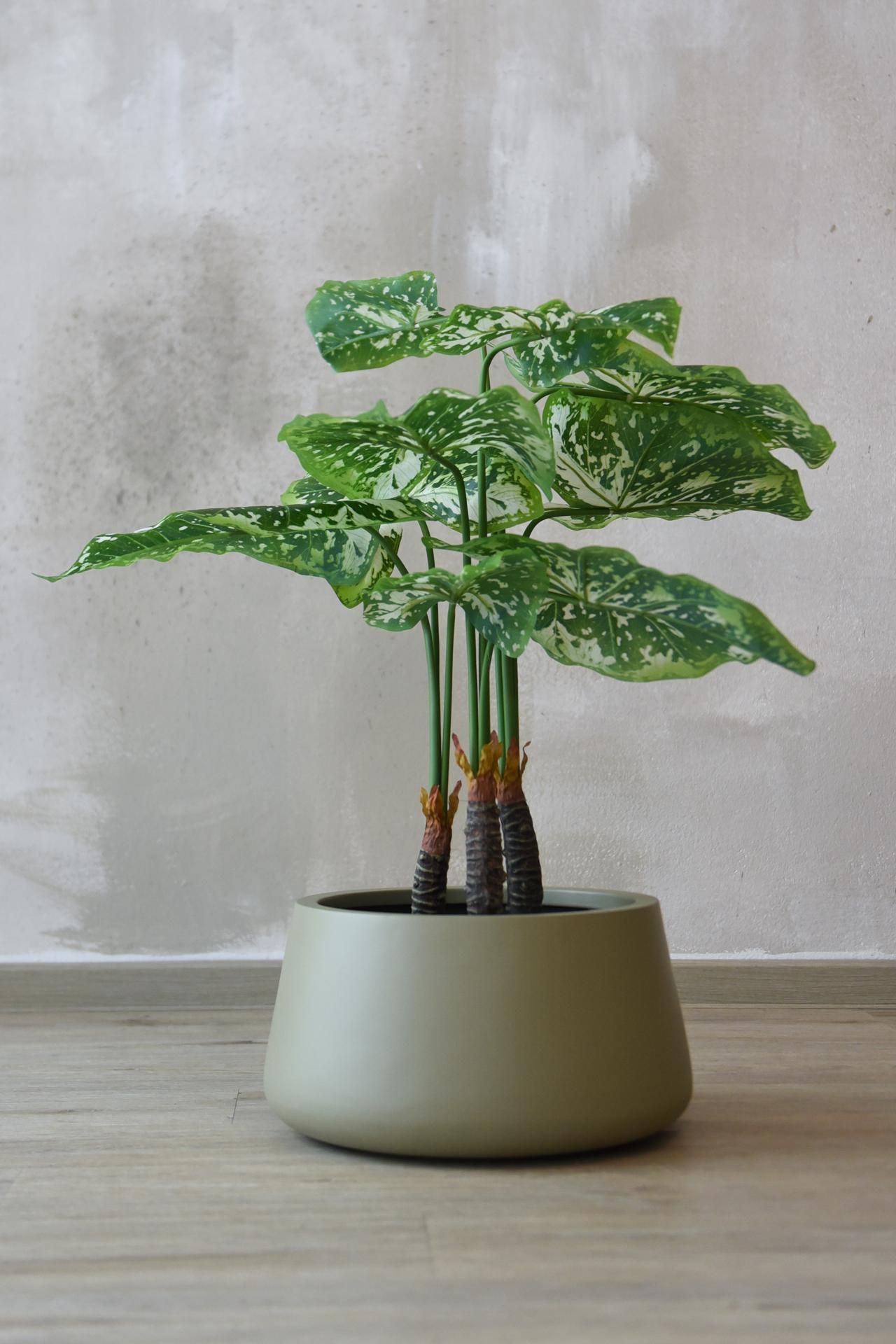 Kunstpflanze künstlicher Philodendron in schwarzem Topf PHILO | 5751115585