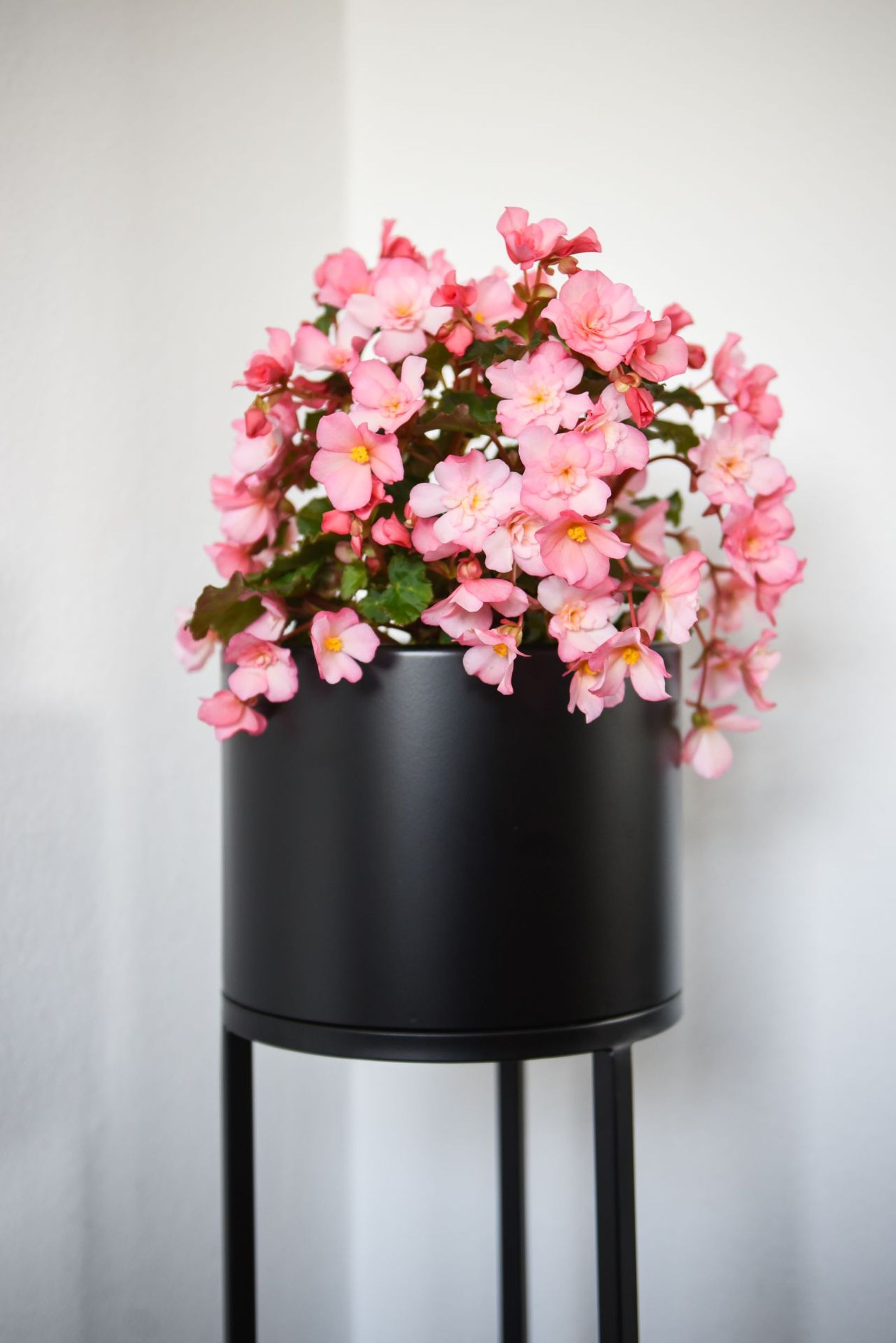 Blumentopf auf Ständer, mit Beinen  ELEVATE ROUND - Schwarz Matt
