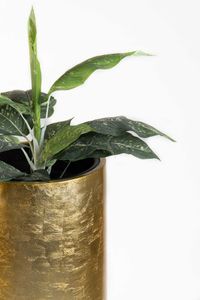 Pflanzgefäß Bodenvase SOLERIO Fiberglas Gold Hochglanz