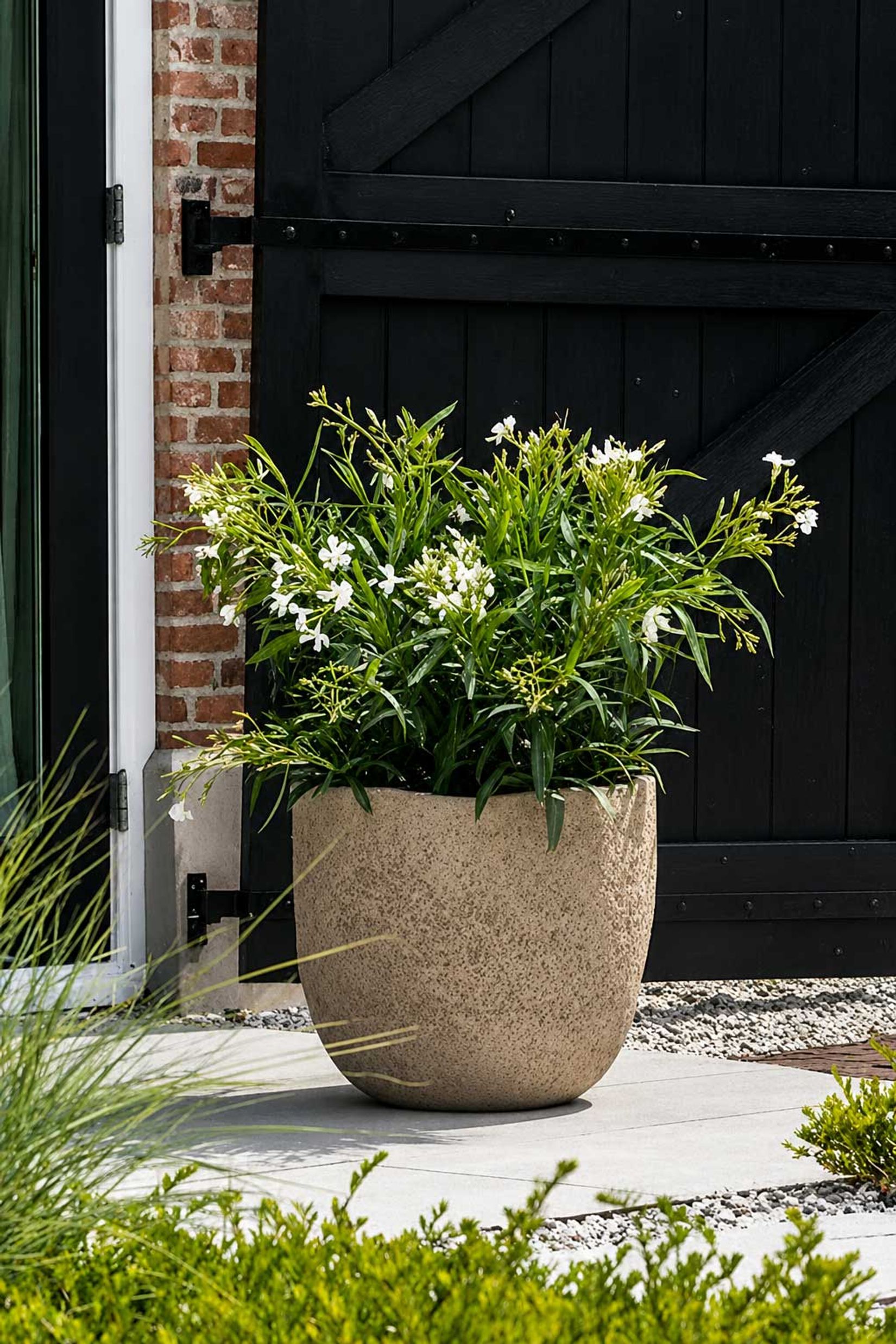 Pflanzkübel Blumentopf Fiberzement LONDA Erdgrau