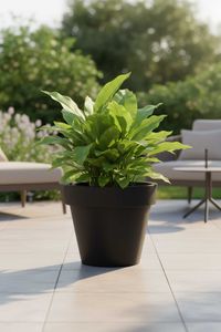 Blumentopf Pflanzkübel aus Kunststoff Rund Anthrazit LEVANTA