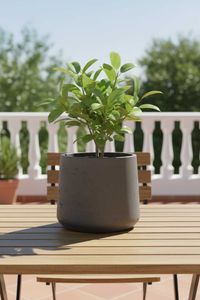 Blumentopf Pflanztopf Fiberglas TROPICO Anthrazit