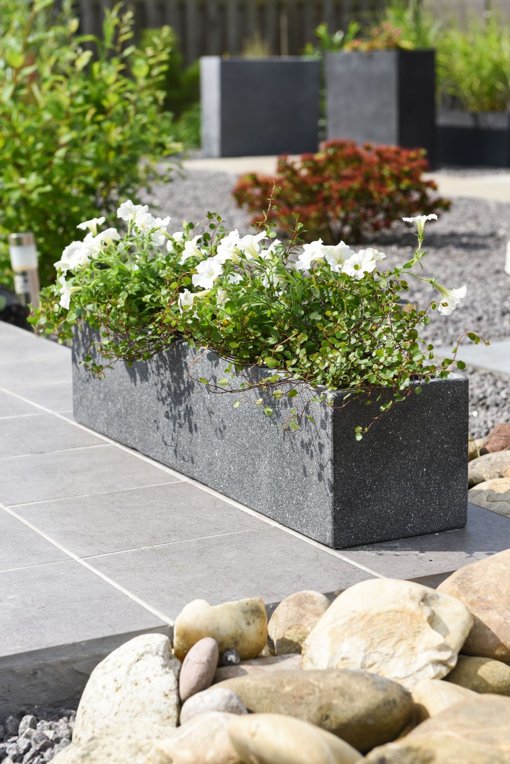 Blumenkasten Fensterbankkasten Beton "Flobo", Anthrazit