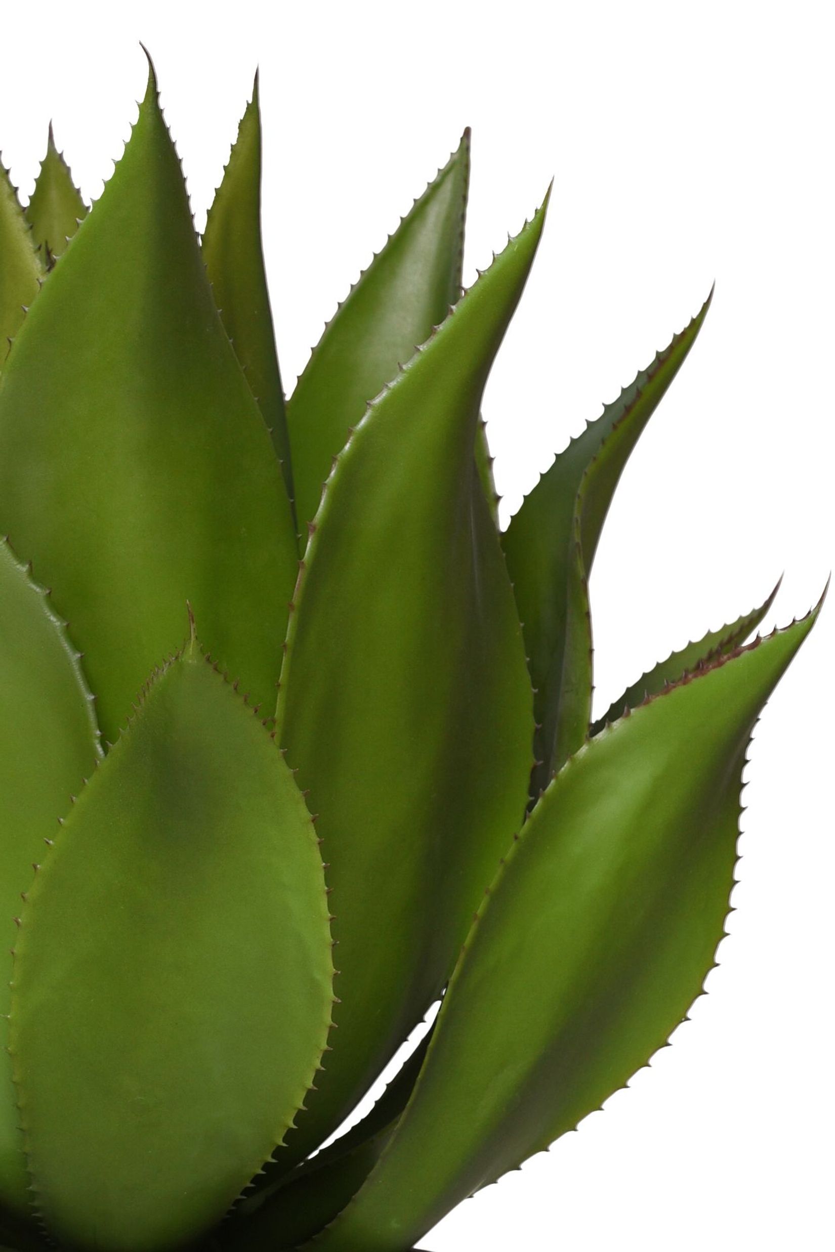 Kunstpflanze Agave künstlich Sukkulente im schwarzen Topf AGAVO