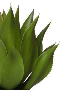 Kunstpflanze Agave künstlich Sukkulente im schwarzen Topf AGAVO