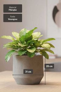 Pflanzkübel Blumenkübel Fiberglas NEXORA Vesuvgrau