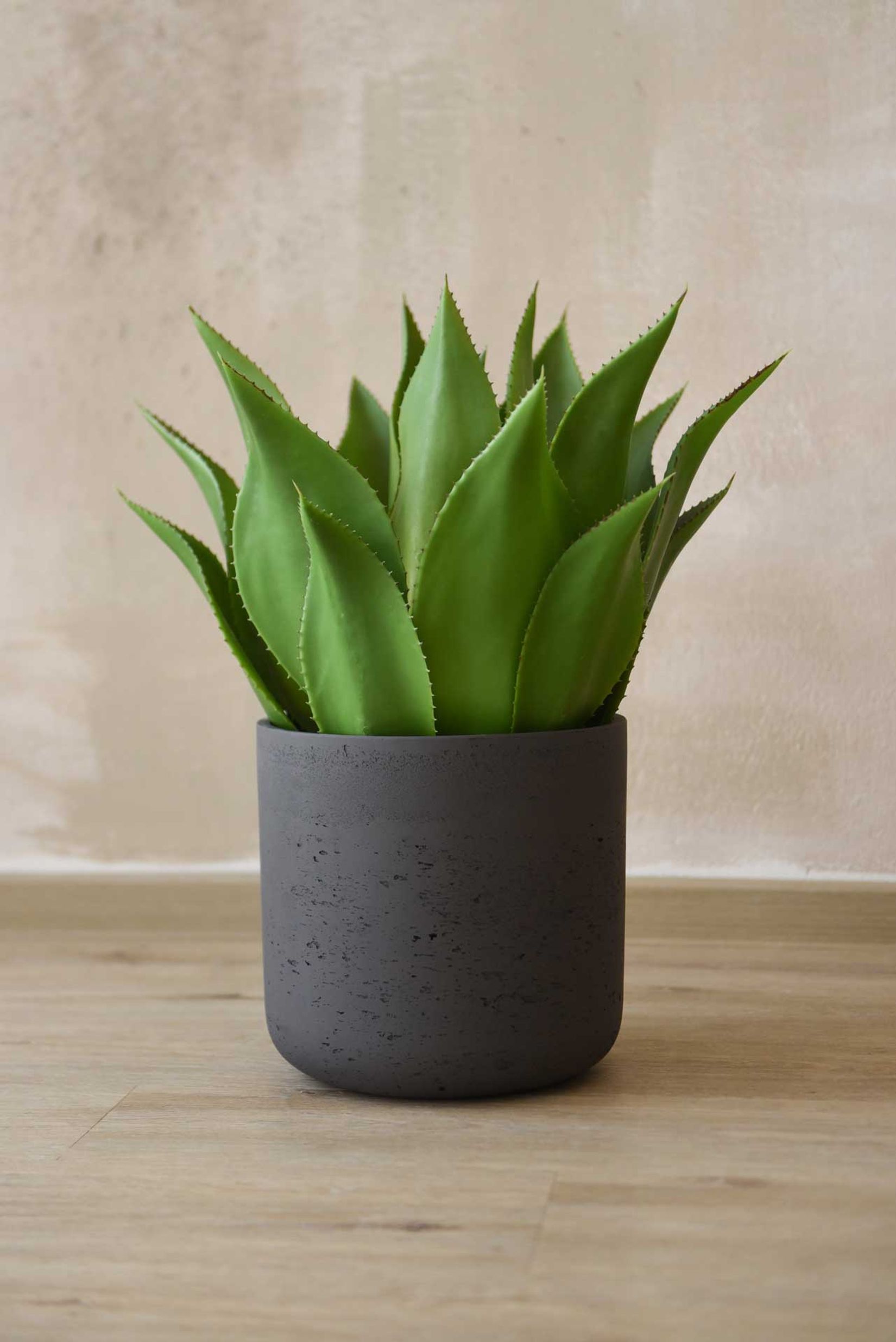 Blumentopf Pflanztopf Fiberglas CHICO Dunkelgrau