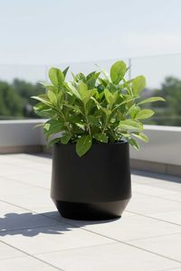 Blumentopf Pflanztopf Fiberglas NEXORA Schwarz