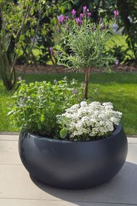 Blumentopf Fiberglas MORINO Anthrazit