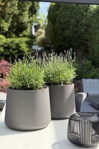 Blumentopf Pflanztopf Fiberglas TROPICO Anthrazit