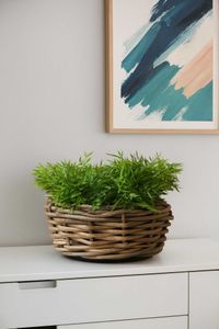 Pflanzkorb Dekokorb Rattan BOJO Grau Natur Pflanzkorb Dekokorb Rattan BOJO Grau Natur