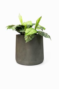 Blumentopf Pflanzkübel Fiberglas VEKRA Vesuvgrau