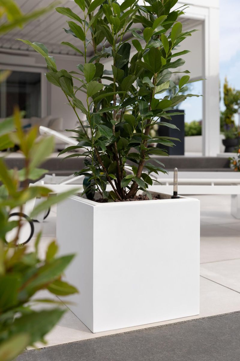 Pflanzkübel Blumenkübel Fiberglas