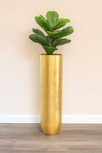 Pflanzgefäß Bodenvase SOLERIO Fiberglas Gold Hochglanz Pflanzgefäß Bodenvase SOLERIO Fiberglas Gold Hochglanz