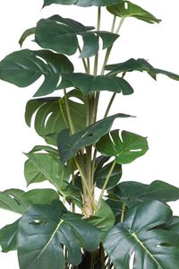Kunstpflanze künstliche Monstera im Topf Kunststoff MONSTERA