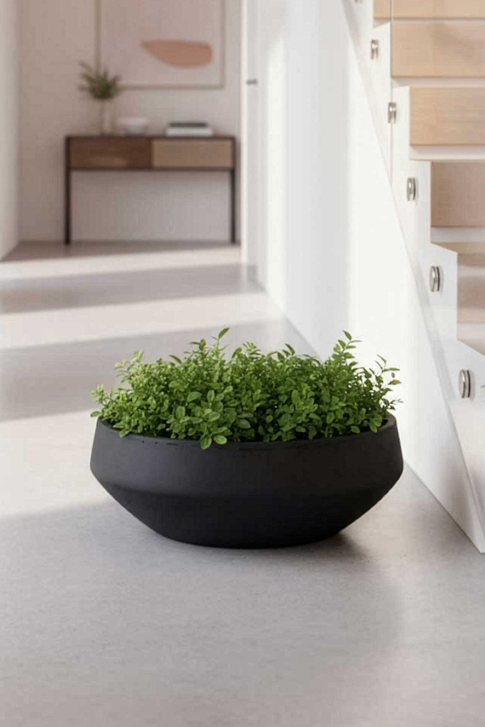 Pflanzschale Dekoschale Fiberglas SKRELLE Vulkangrau