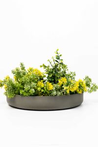 Pflanzschale Dekoschale Fiberglas ORYVEN Beton-Design Grau