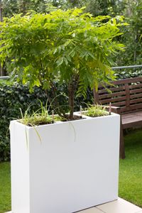 3er Set 29er Blumenkübeleinsatz mit Bewässerungsset Kunststoff 29x29x32 cm, Weiß