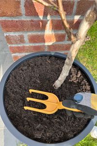 Gartenwerkzeug Set Kunststoff GIARDINO TRIO