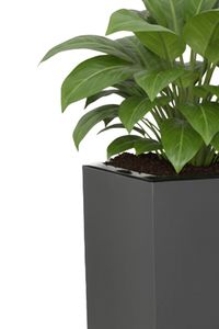 Pflanzkübel Blumenkübel Zink "Linea", Anthrazit