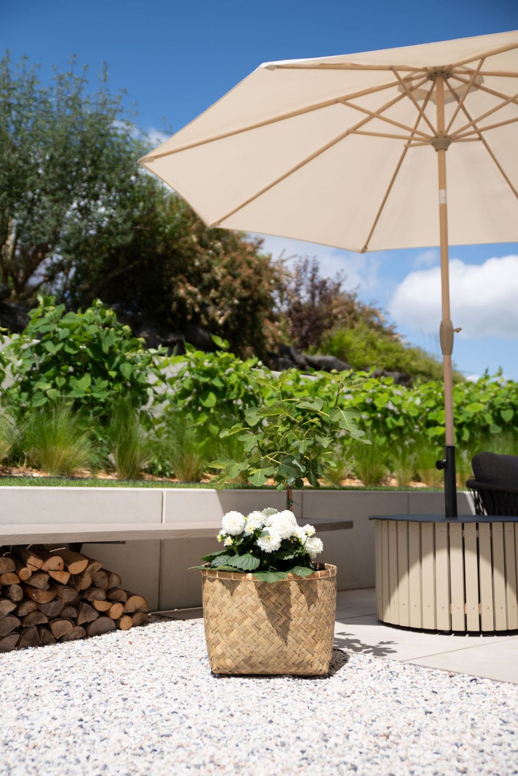 Pflanzkübel Pflanztopf Bambus Fiberzement CISTELLA Natur Pflanzkübel Pflanztopf Bambus Fiberzement CISTELLA Natur