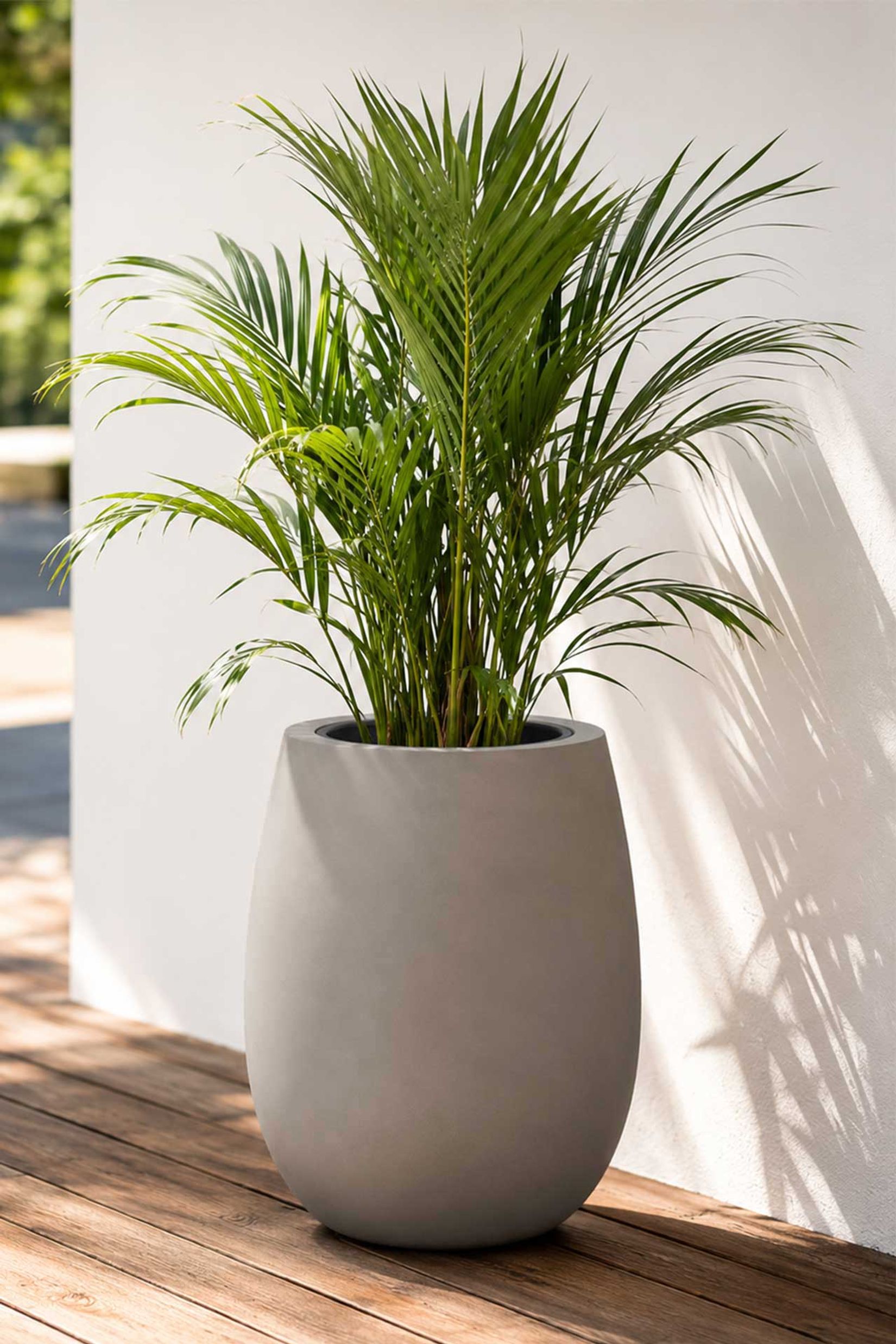 Blumentopf BALAO Fiberglas 40x50 cm Grau