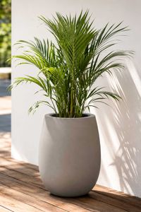 Blumentopf BALAO Fiberglas 40x50 cm Grau Blumentopf BALAO Fiberglas 40x50 cm Grau