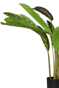 Kunstpflanze künstliche Blattpflanze im Topf Kunststoff NICOLA Kunstpflanze künstliche Blattpflanze im Topf Kunststoff NICOLA