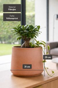 Blumentopf Fiberglas TROPICO Vulkanapricot