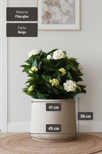 Blumentopf Pflanztopf Fiberglas TROPICO Creme