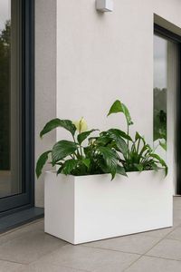 Pflanzkübel Pflanztrog Fiberglas "Maxi", Weiß Matt
