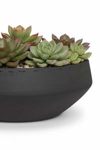 Pflanzschale Dekoschale Fiberglas SKRELLE Vulkangrau Pflanzschale Dekoschale Fiberglas SKRELLE Vulkangrau