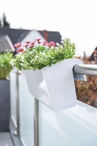 Balkonkasten Kunststoff "Balkona Classico" inkl. Bewässerungssystem, Weiß Hochglanz