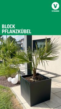 Pflanzkübel Blumenkübel Fiberglas "Block" Würfel, Anthrazit