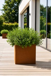 Pflanzkübel Blumenkübel Cortenstahl "Block" Würfel, Rostbraun