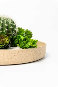 Pflanzschale Dekoschale Fiberglas ORYVEN Arbanecreme