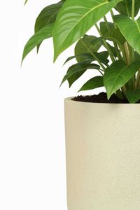 Blumentopf Pflanztopf Fiberglas CHICO Vesuvcreme