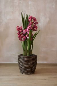 Kunstpflanze Orchidee Cymbidium im cremefarbenen Dekotopf ORCHIDEA pink